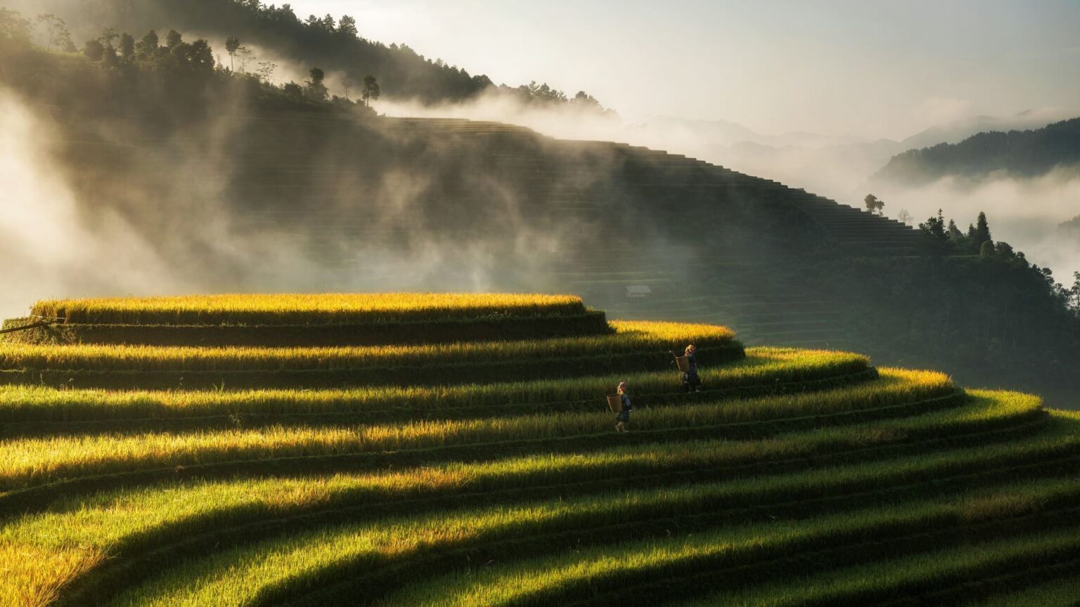 Viajar en invierno con NUBA Vietnam