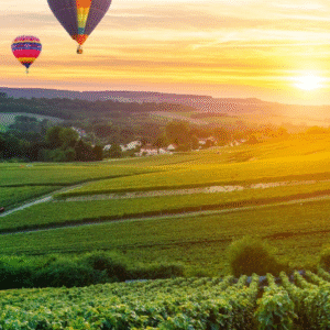 Sunrise hot-air balloon flight over the Champagne vineyards with a private toast (Reims, France)