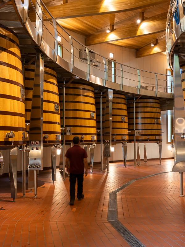 Private wine tasting and exclusive tour of the Vega Sicilia winery, guided by a senior oenologist (Valbuena de Duero, Spain)