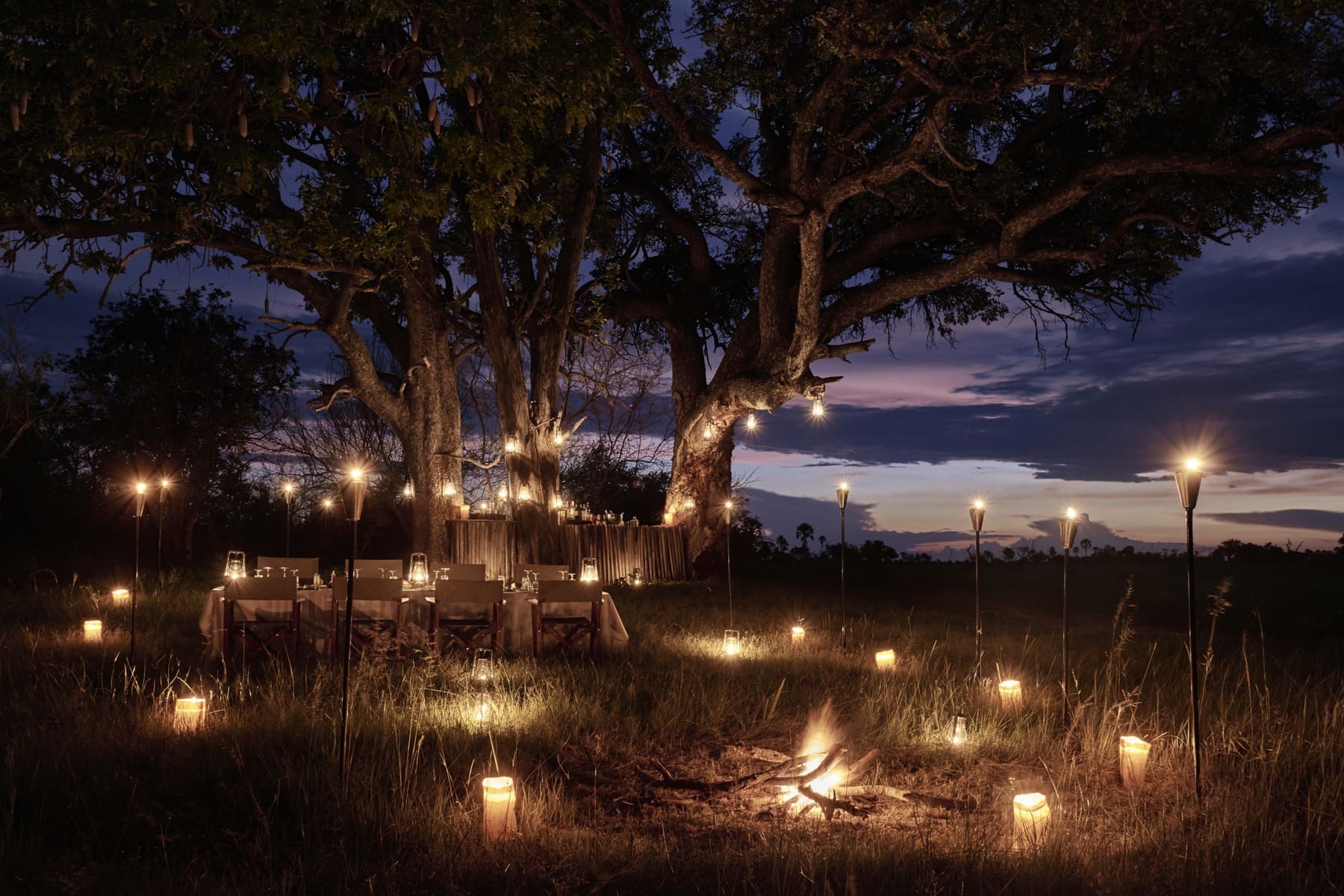 Cena en la sabana Botswana