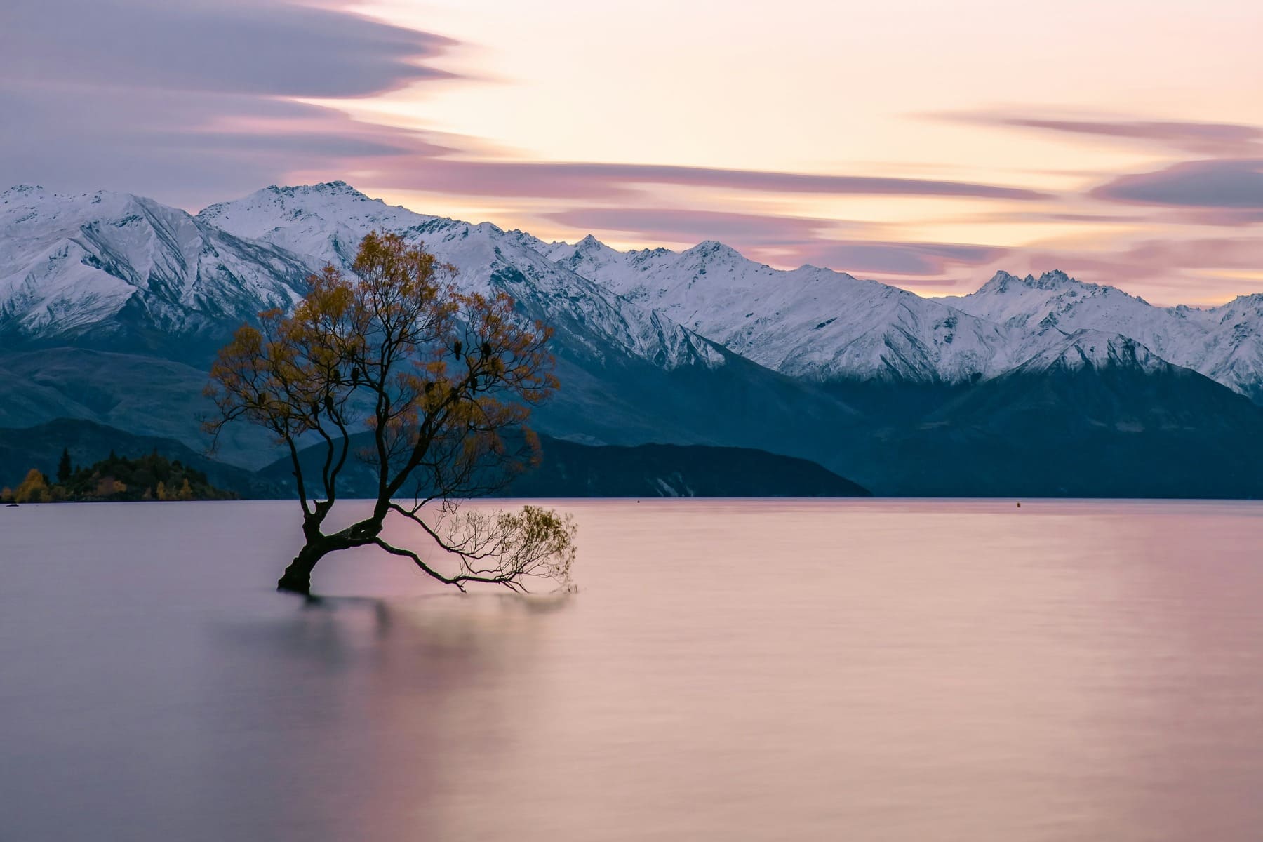 Lago con árbol en Nueva Zelanda