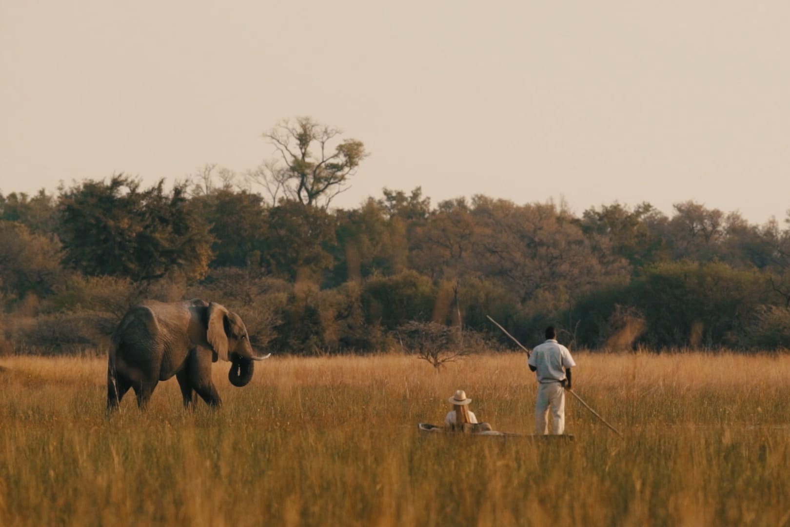 Safari Delta del Okavango Botswana