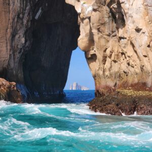 Alchemist: Dining that Transcends Gastronomy (Copenhagen, Denmark) (copia) (copia) (copia) (copia) (copia) (copia) (copia) (copia) (copia) (copia) (copia) (copia) (copia) (copia) (copia) (copia) (copia) (copia) (copia) (copia)