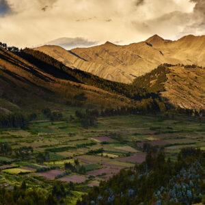 Alchemist: Dining that Transcends Gastronomy (Copenhagen, Denmark) (copia) (copia) (copia) (copia) (copia) (copia)