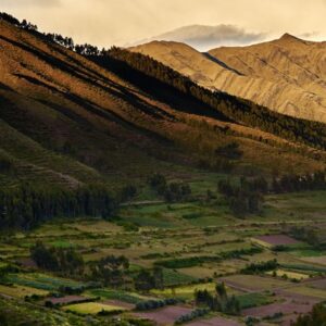 Alchemist: Dining that Transcends Gastronomy (Copenhagen, Denmark) (copia) (copia) (copia) (copia) (copia) (copia)