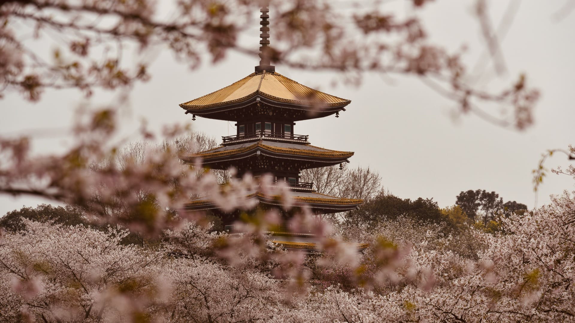 Viajar en Semana Santa NUBA