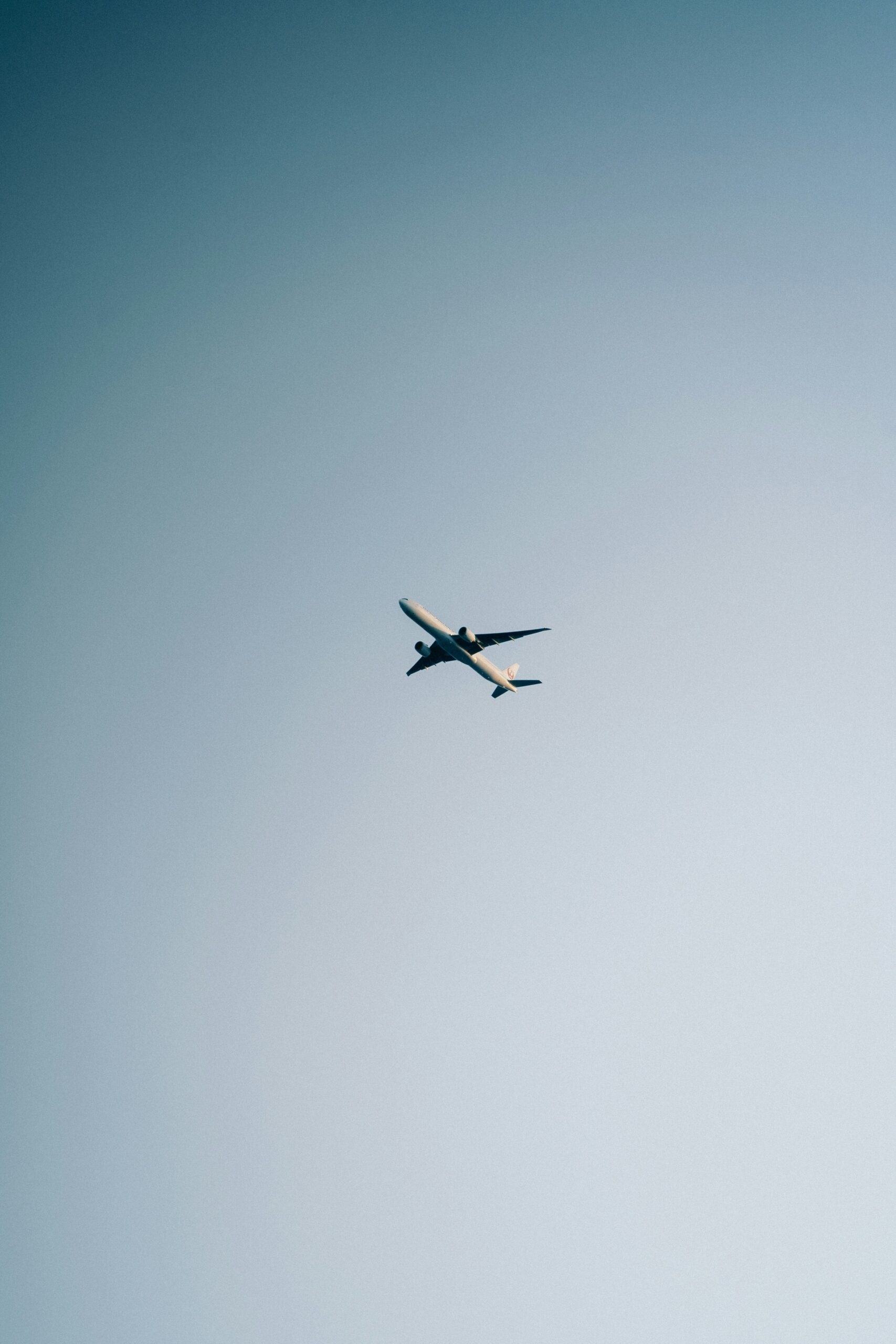 Alchemist: Dining that Transcends Gastronomy (Copenhagen, Denmark) (copia) (copia) (copia) (copia) (copia) (copia) (copia) (copia) (copia) (copia) (copia) (copia) (copia) (copia) (copia) (copia) (copia) (copia) (copia) (copia) (copia) (copia) (copia) (copia) (copia) (copia) (copia) (copia)