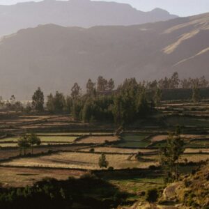 Estancia en el hotel Belmond las Casitas (Cañón del Colca)