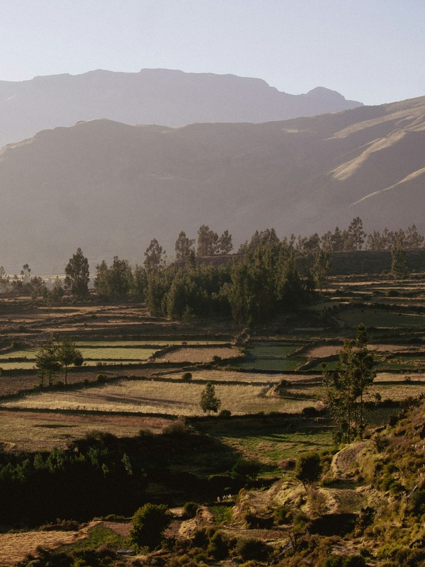 Estancia en el hotel Belmond las Casitas (Cañón del Colca)