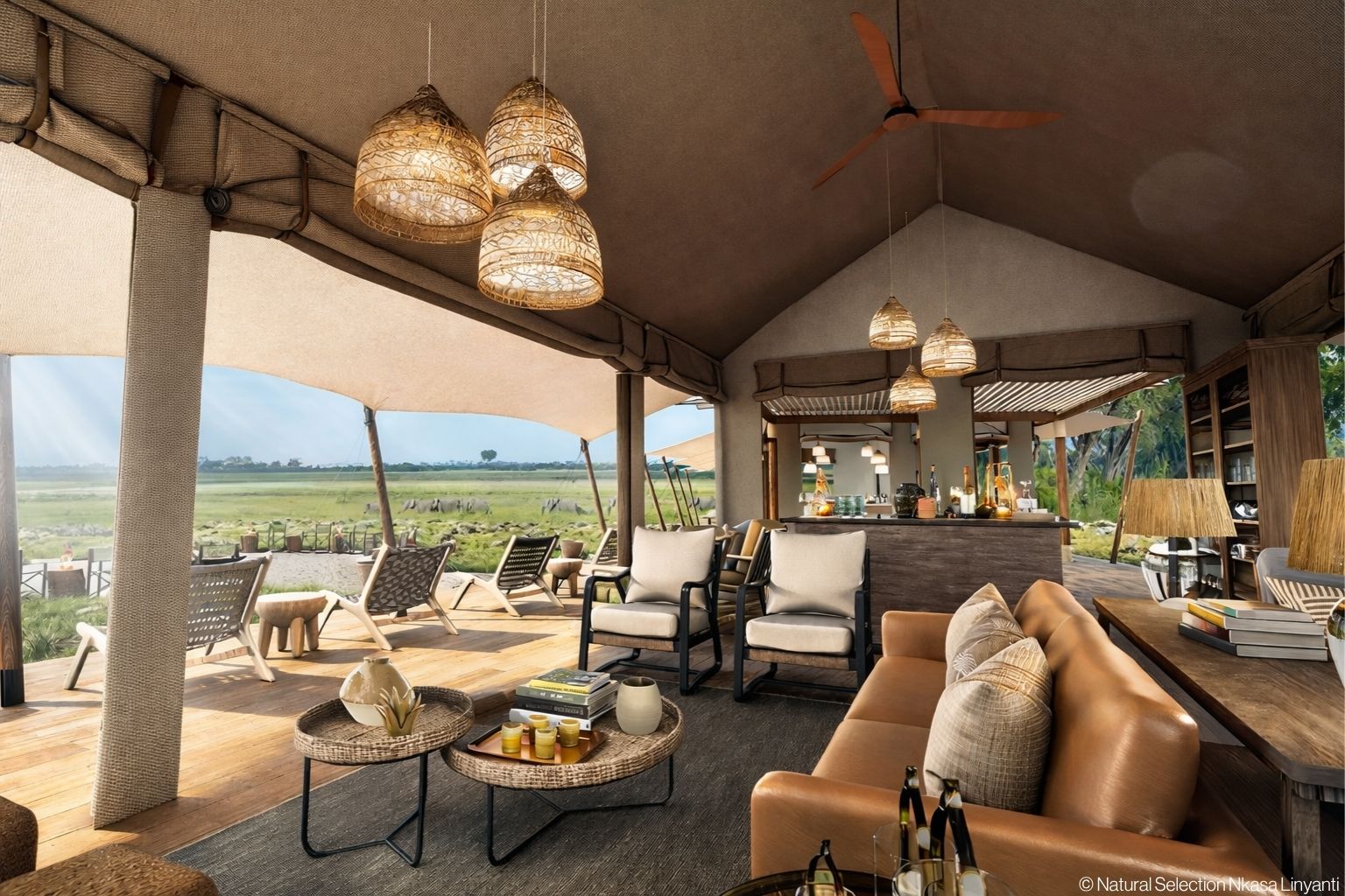 Natural Selection Nkasa Linyanti Namibia