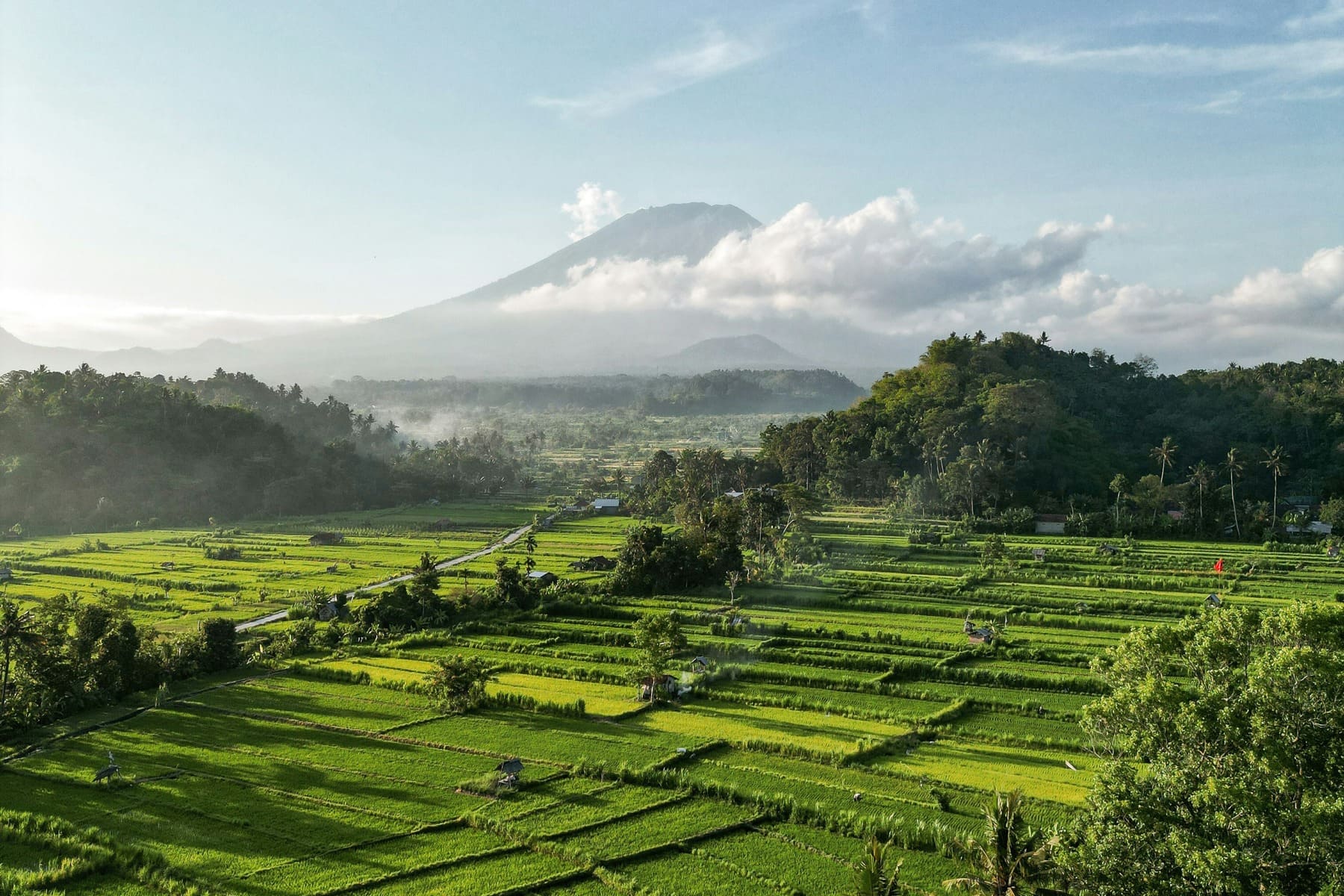 Vista aérea arrozales Indonesia