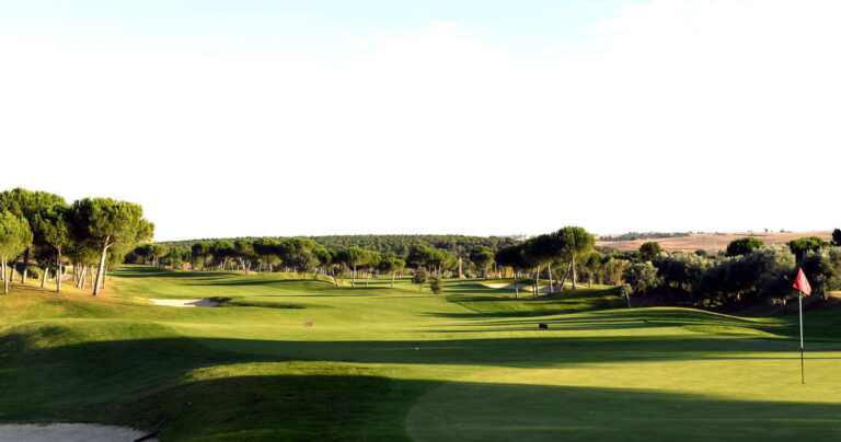 Sunlit golf course with green fairways, scattered trees, and a flag on the green (right).