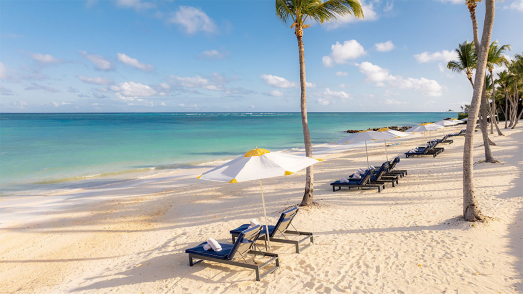 Tropical beach with tall palm trees, white sand, and blue-green ocean; sun loungers and umbrellas lined up along the shore.