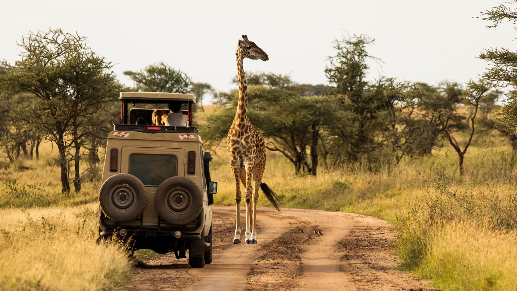 Safari en Tanzania parque nacional Katavi