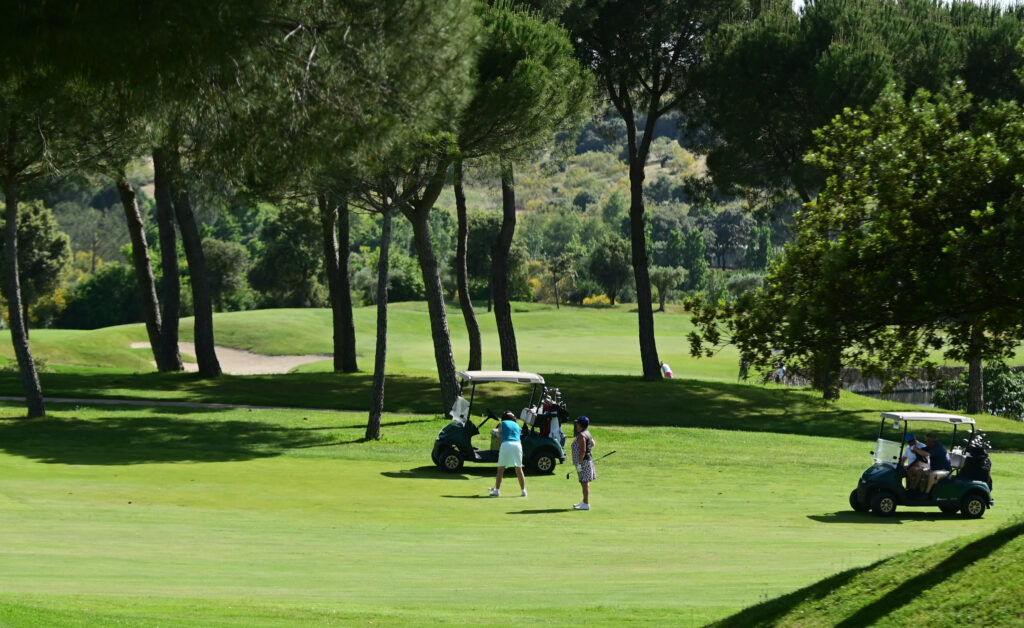 Golfers stand on a sunny green golf course near a row of trees, with parked golf carts and clubs nearby.