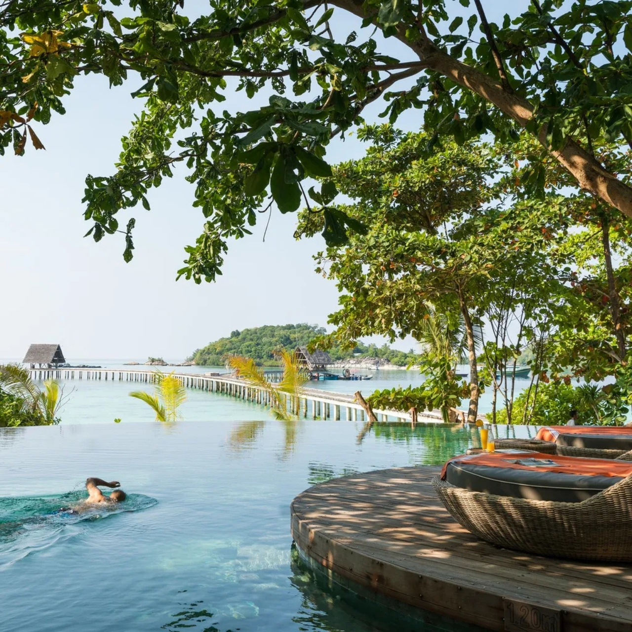 Swimmer in a calm infinity pool beside a curved wooden boardwalk and lush tropical trees.