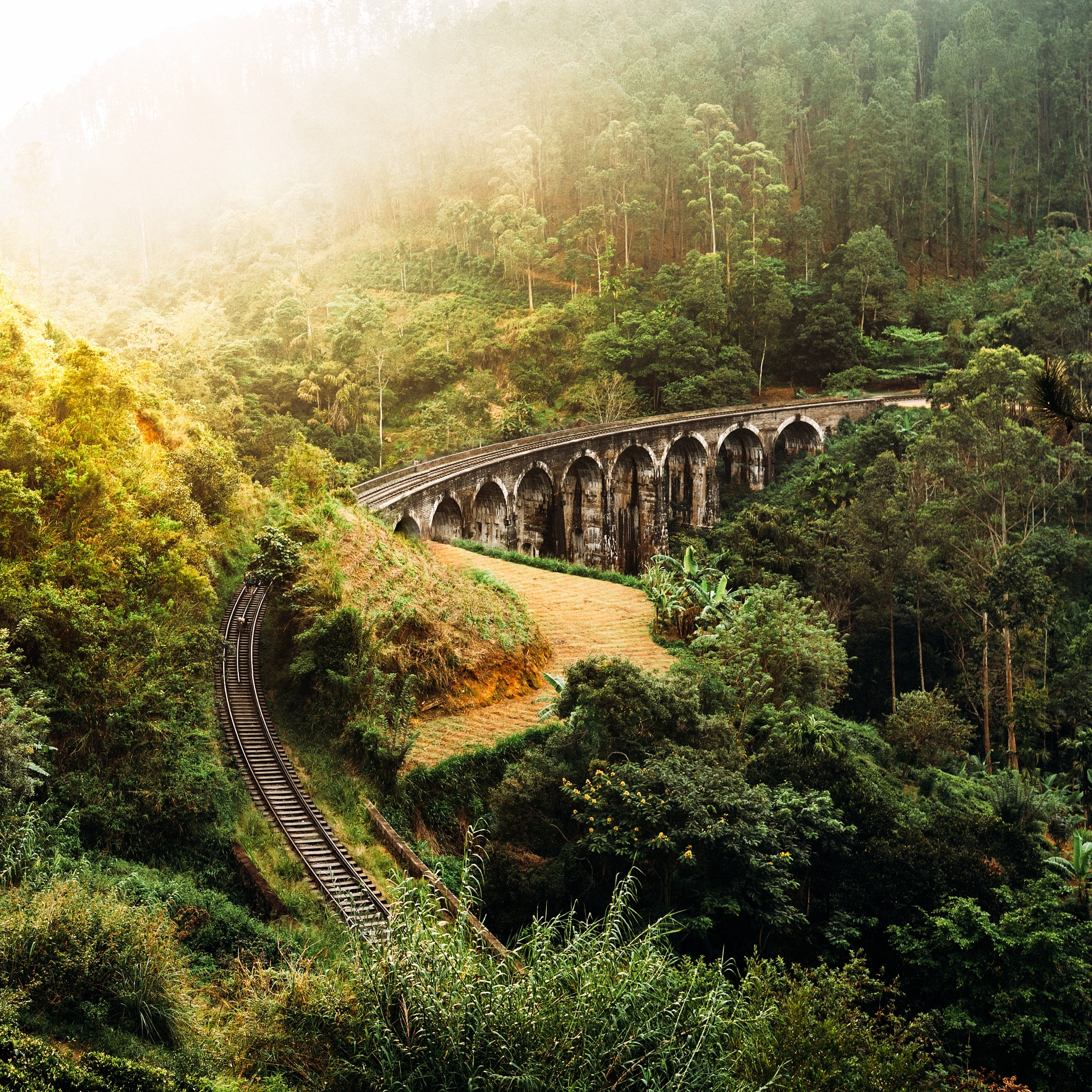 tren en Sri Lanka