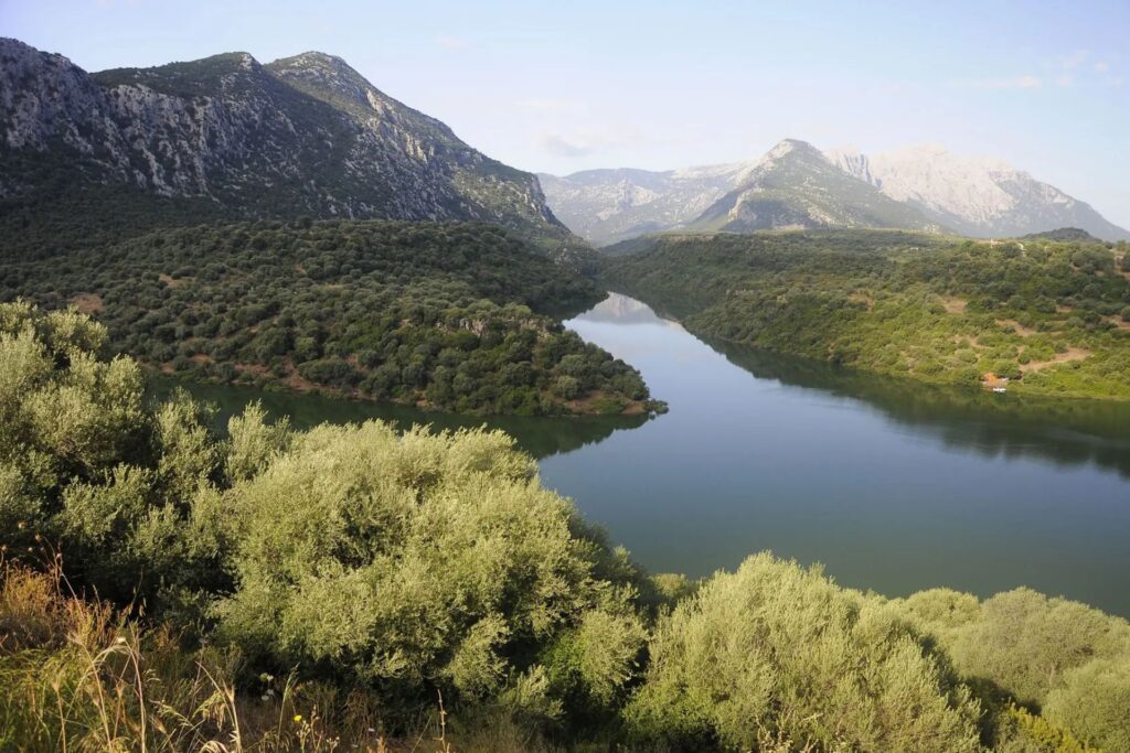Wide river winding through a green valley with forested hills and rocky mountains under a clear blue sky