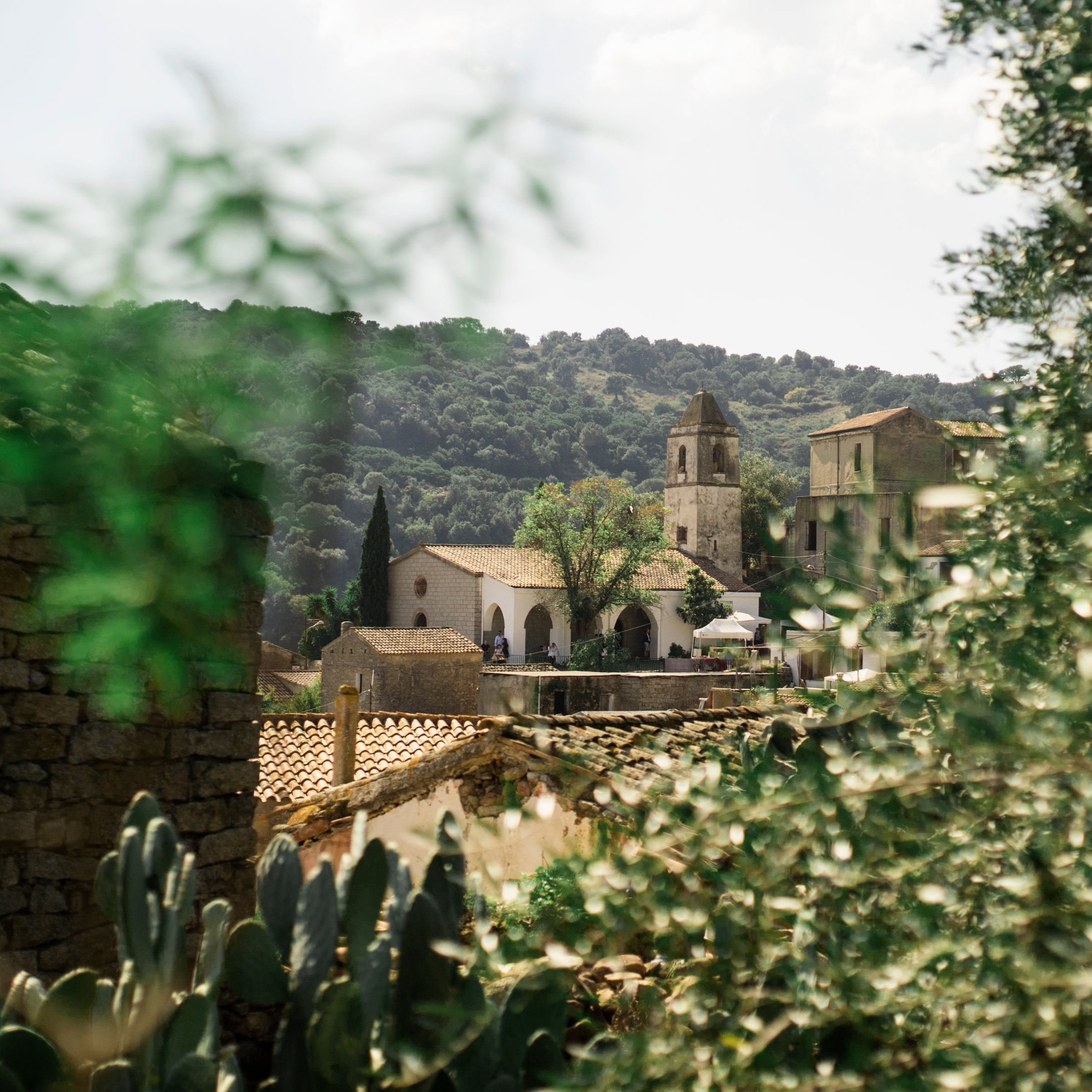 Stone hillside village with terracotta roofs and a small bell tower, framed by blurred foreground plants and cacti.