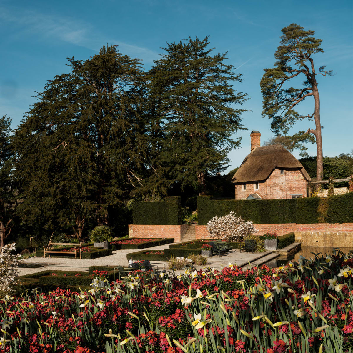 Flower gardens of The Newt