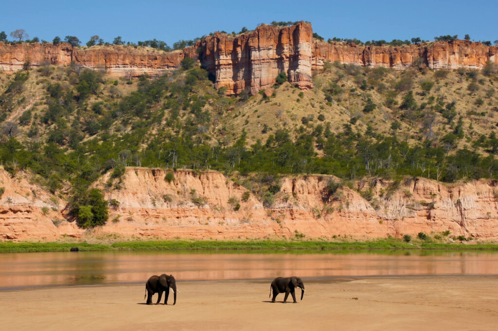 Two elephants walk along a sandy riverbank with orange-red cliffs and sparse trees in the background as the sun shines on the canyoned landscape.