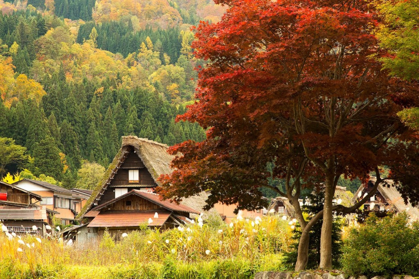 casa-alpes-japonenes