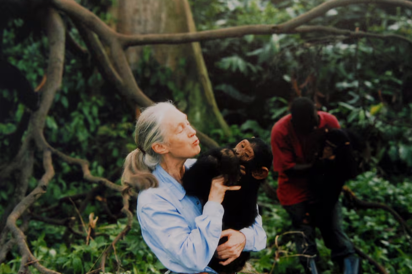 An elderly woman with gray hair in a blue shirt tenderly holds and kisses a small dark-haired monkey in a forest setting with two people in the background.