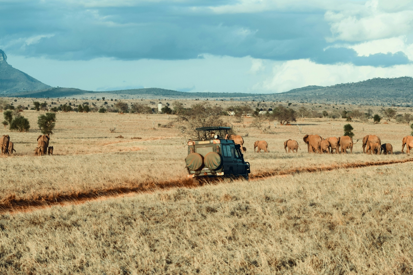 Off-road safari jeep on a dusty track as a herd of elephants graze nearby in a dry savanna.