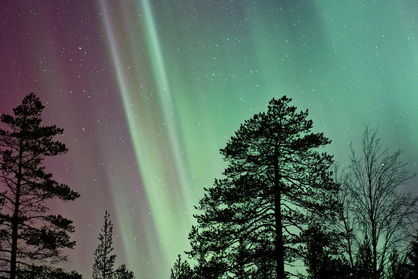aurora-boreal-laponia