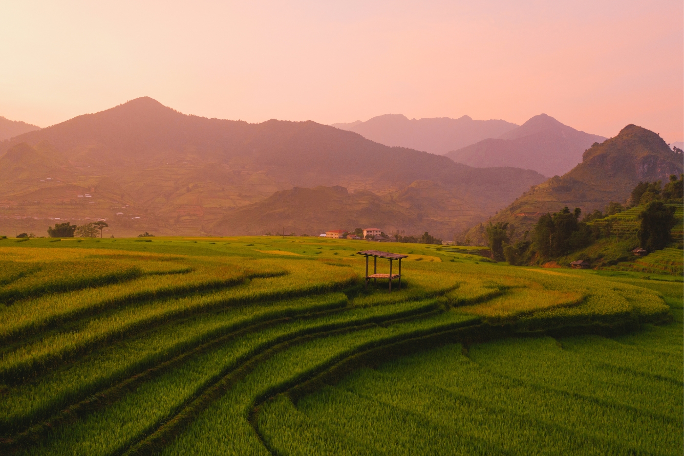 campos-arroz-vietnam