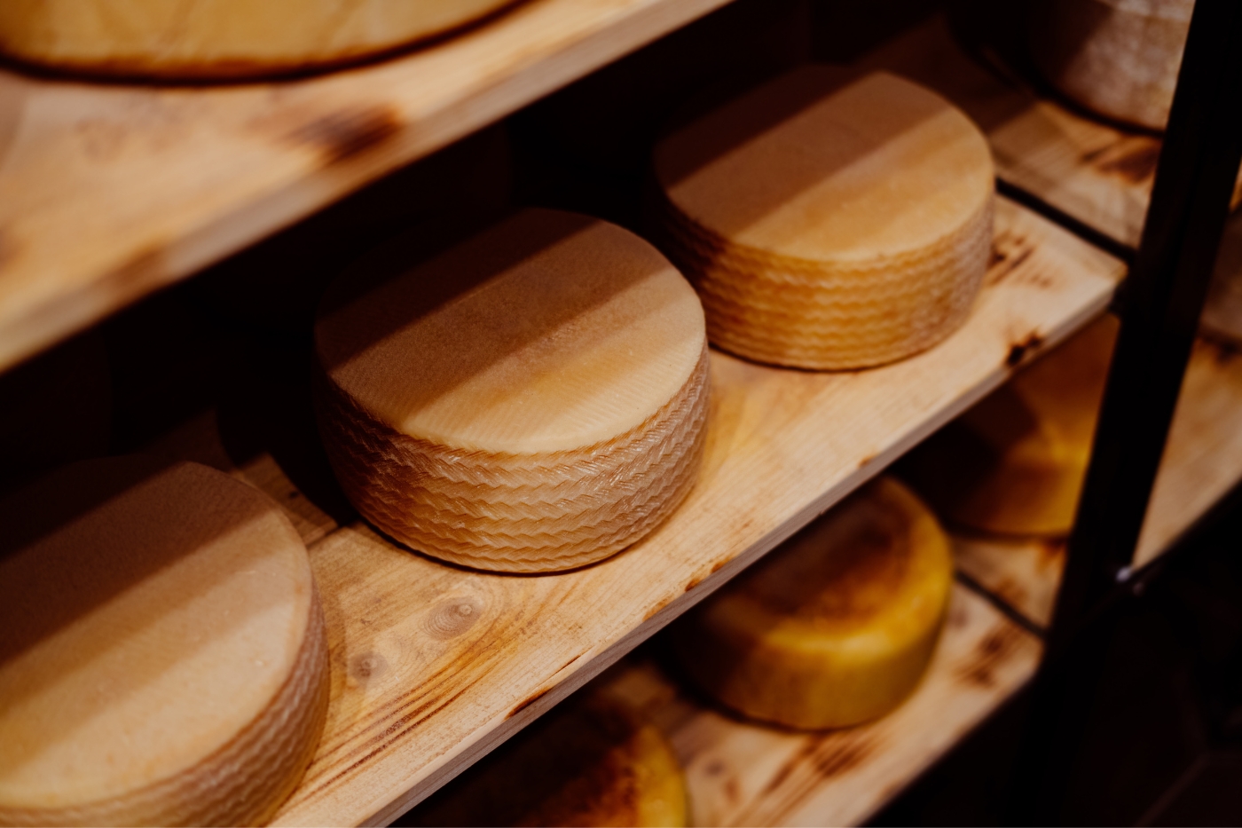 taller-queso-artesano-manchego