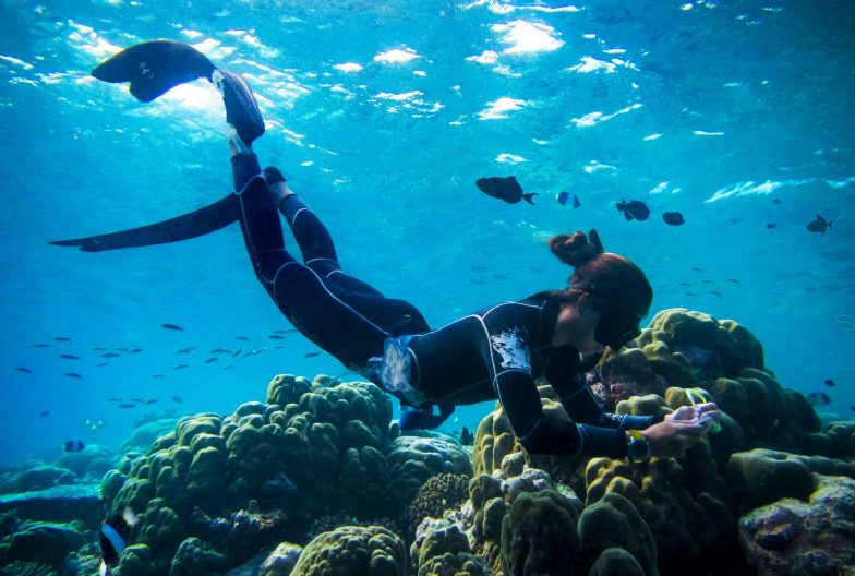 Recuperacion Jardines de coral en Maldivas