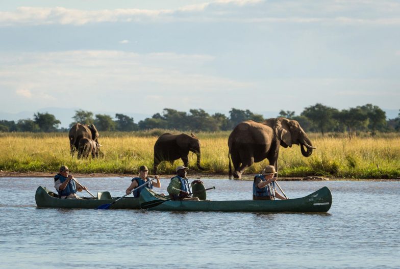 Safari en canoa en Wilderness Ruckomechi