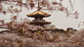 Viajar en Semana Santa NUBA