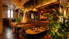 barracuda-madrid-interior